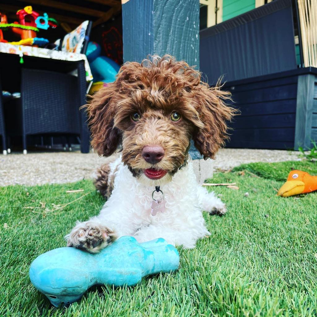 Fokken met een&nbsp;doel